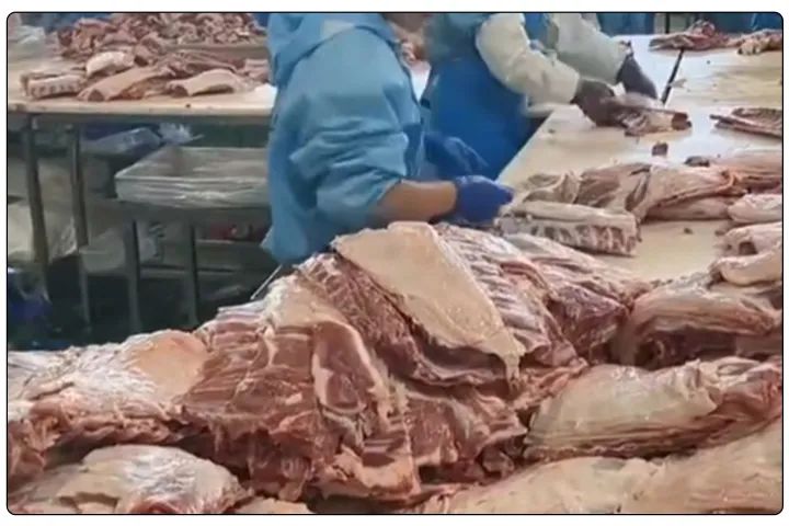 屠宰工廠惡臭影響周邊，使用除臭劑有什么注意要點(diǎn)？.jpg