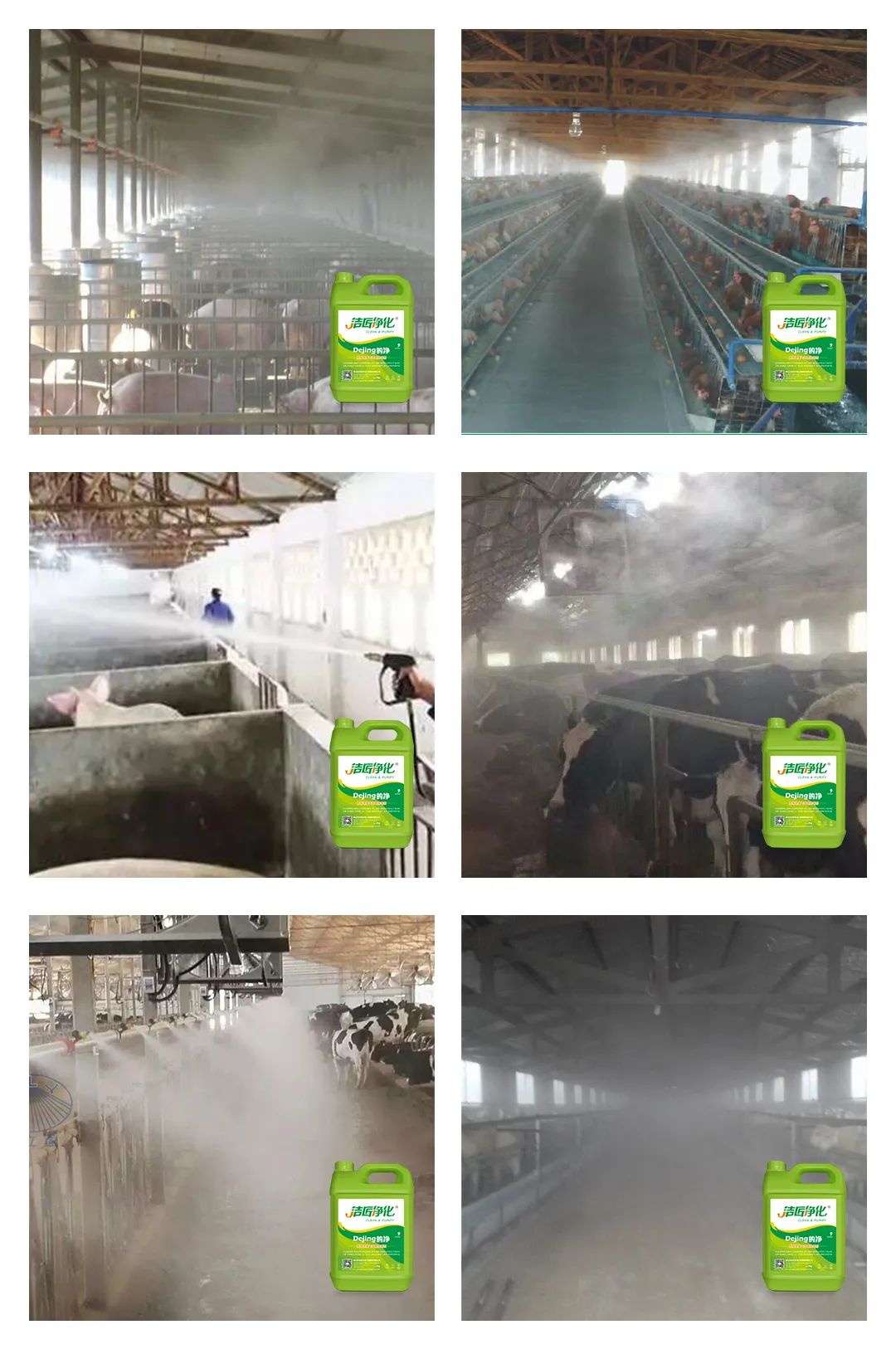 養(yǎng)殖場太臭，用Dejing的凈除臭劑迅速除臭！豬圈/雞場/牛場/羊圈....jpg